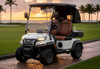 Epic E20FX 2 Passenger Golf Cart
