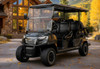 E60FX 6 Passenger Golf Cart