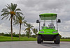 ICON i20 Two Seater Golf Cart