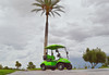 ICON i20 Two Seater Golf Cart