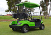 ICON i20 Two Seater Golf Cart