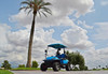 ICON i20L Two Seater Lifted Golf Cart