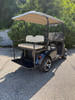 Factory Refurbished 2019 RXV Elite Patriot Blue 4 Passenger Golf Cart Lithium Electric