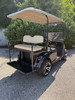 Factory Refurbished 2019 RXV Elite Patriot Blue 4 Passenger Golf Cart Lithium Electric