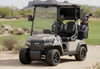 ICON i20X Two Seater Golf Cart