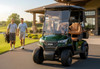 ICON i20X Two Seater Golf Cart