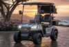 ICON i20X Two Seater Golf Cart
