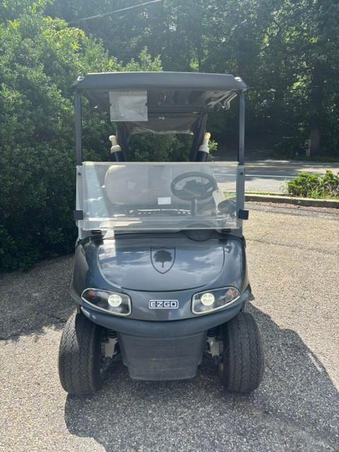 2022 RXV Elite  Charcoal 2 Passenger Golf Cart Lithium Electric