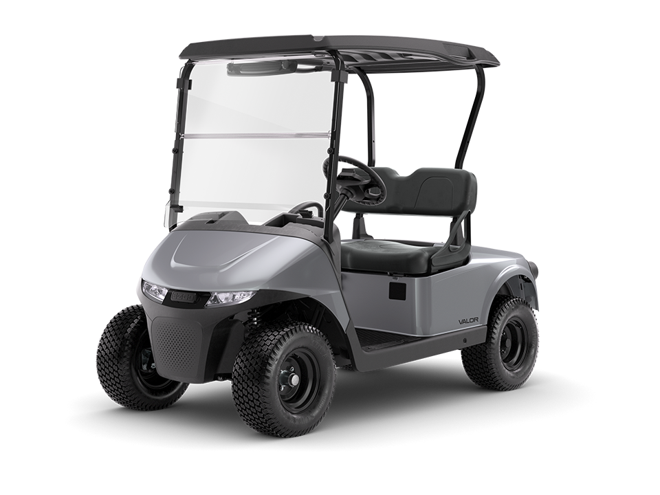 E-Z-GO RXV 2 Electric or Gas 2 Seater Golf Cart