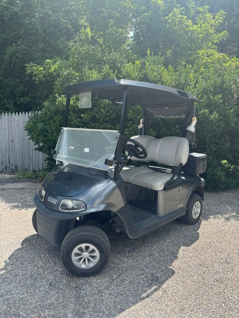 2022 RXV Elite  Charcoal 2 Passenger Golf Cart Lithium Electric