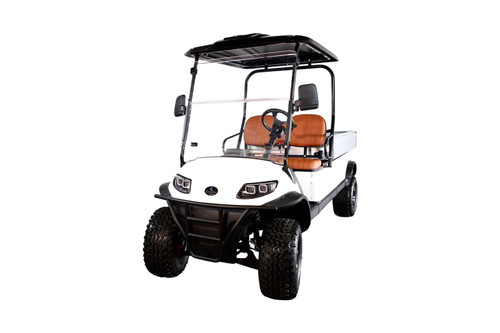 Cruise® Car C20UL Golf Cart 2 Passenger 6' Dump Bed Lifted