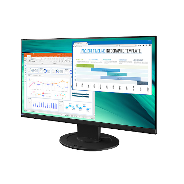 Buy EIZO FlexScan EV2460 23.8