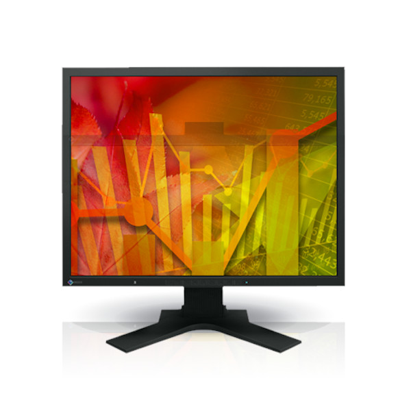 EIZO S2133 Monitor Image