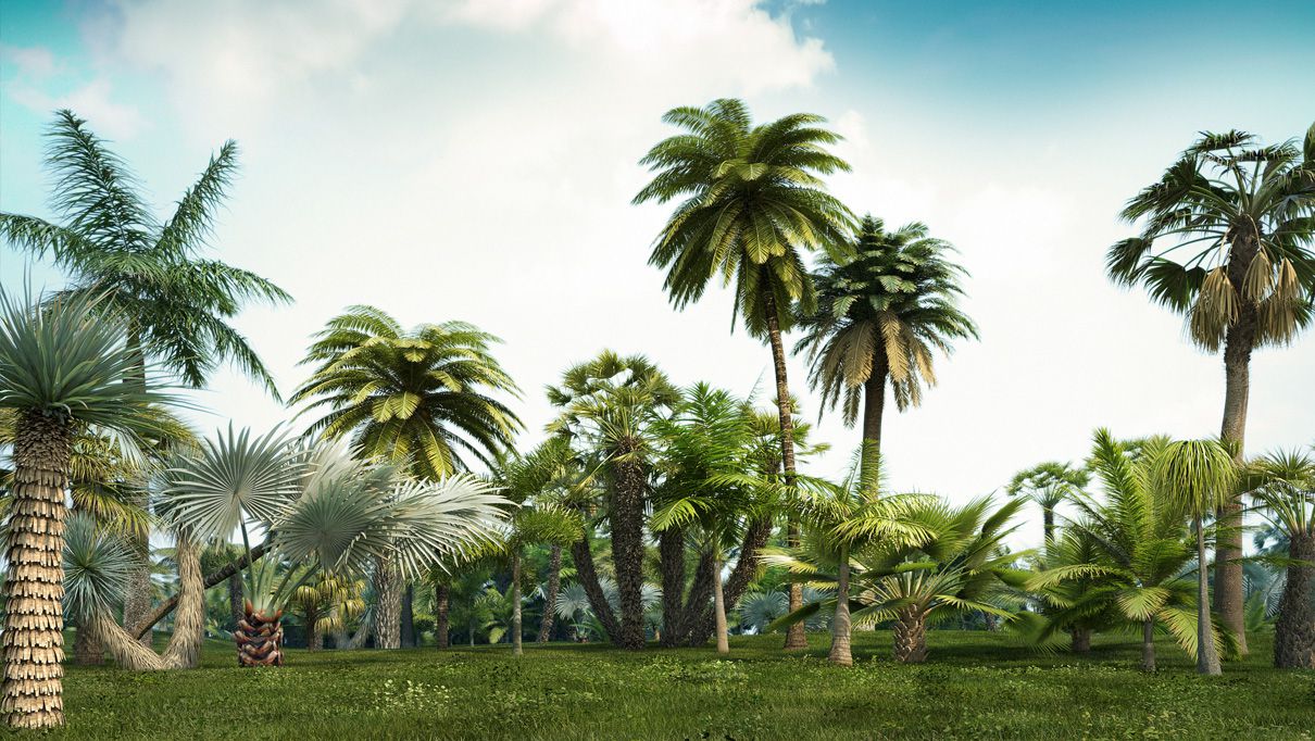 iCube Models - iTrees Palms - additional image 1