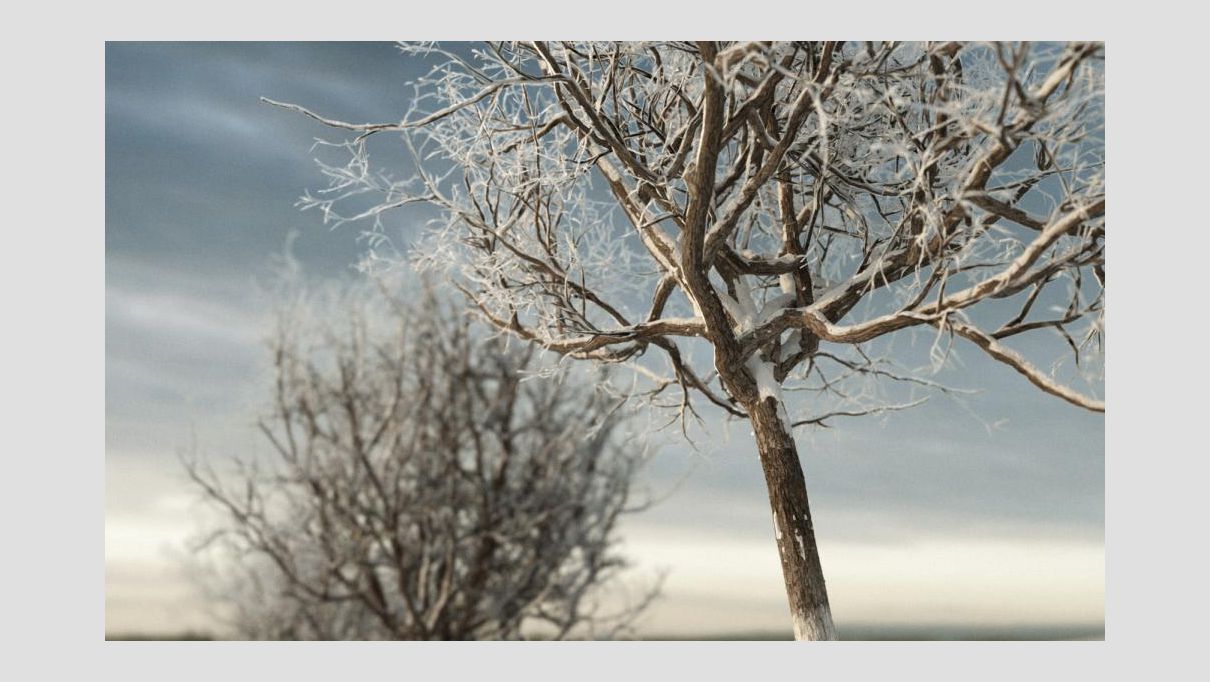 iCube Models - iTrees vol.3 Winter - additional image 4