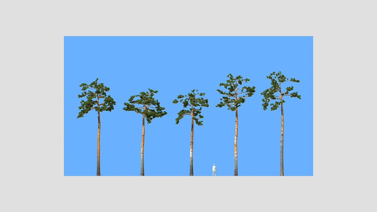 iCube Models - iTrees vol.5 Pine Trees - additional image 2