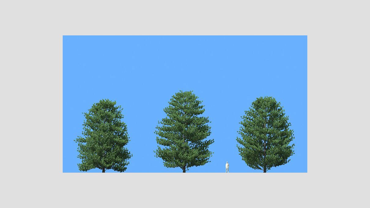 iCube Models - iTrees vol.5 Pine Trees - additional image 3