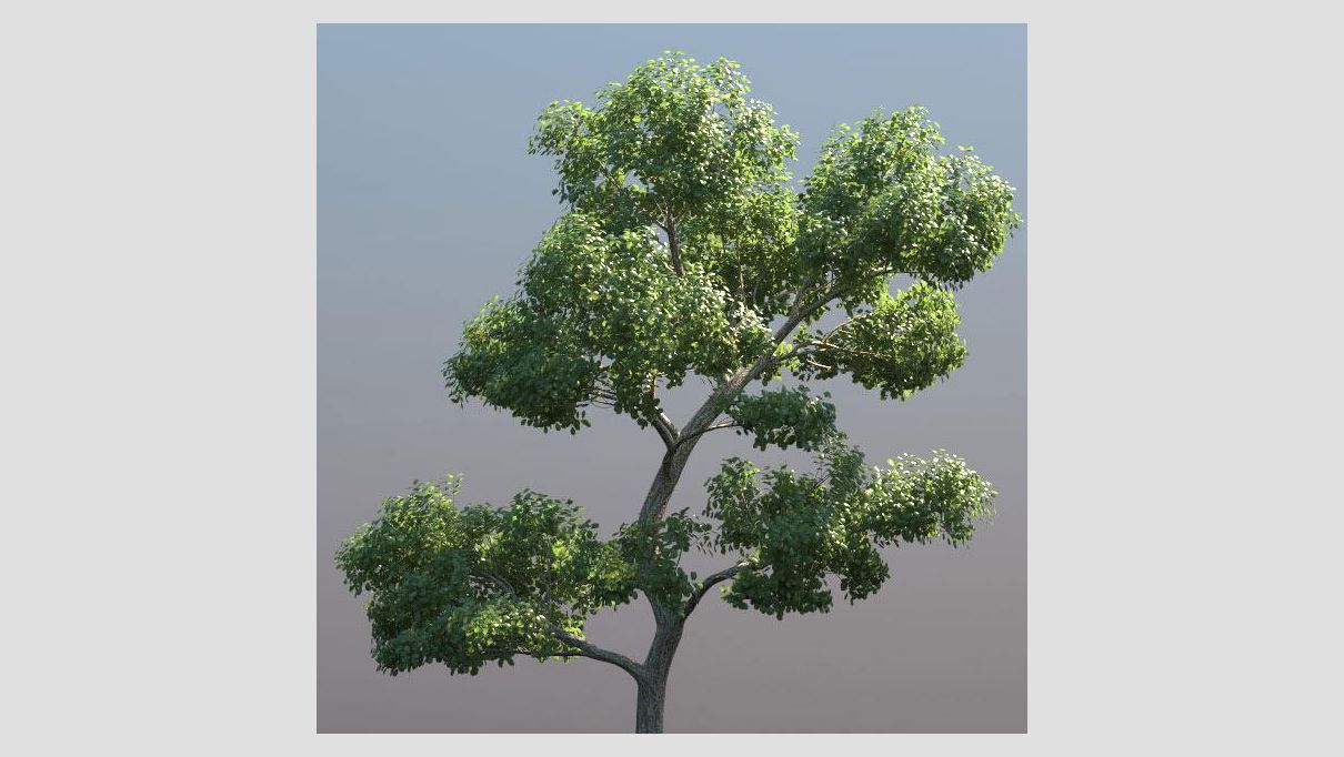 iCube Models - KarbaTrees vol.1 - additional image 3