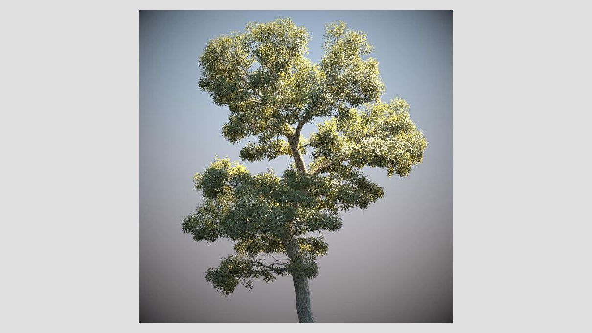 iCube Models - KarbaTrees vol.1 - additional image 4