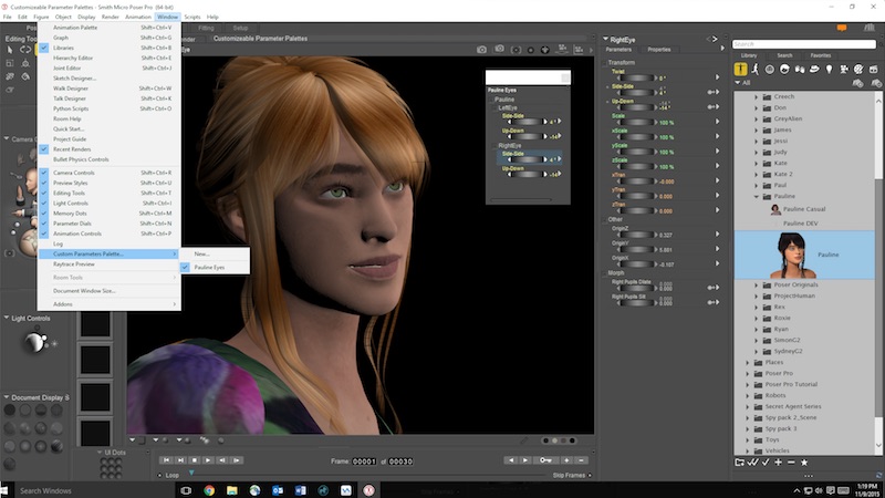 Poser 7  For Windows