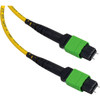 Product image one of Camplex MTP Elite APC Male to MTP Elite APC Male 12-Fiber Cable 10ft