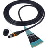 Product image one of Camplex opticalCON MTP Elite Male to 12 SC Internal Cable 10ft