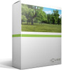 Product image one of iCube Models - iTrees vol.2 Summer