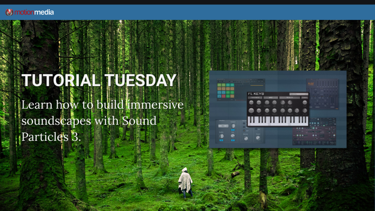 How to Create a Forest Soundscape with Sound Particles 3 | Immersive Audio Guide
