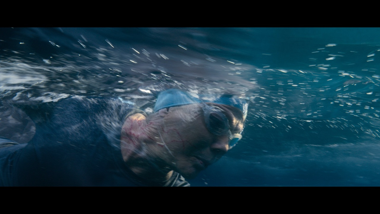 Before's and Afters Podcast discusses the intricate VFX work for 'Nyad'