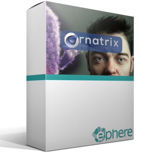 Product image one of Ephere Ornatrix Hair v3 for Cinema 4D