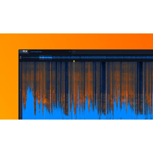Product image one of iZotope RX Standard v12