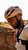 KASK Sintesi helmet UK