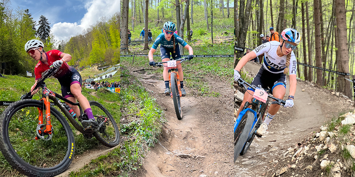 MTB | ROAD CYCLING |BICYCLE REPAIR FIFE 