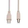 6 ft. USB 2.0 Cable - A Male to B Male - Ivory