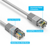 50 ft Cat5e UTP Molded Ethernet Network Patch Cable