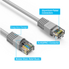 100 ft Cat5e UTP Molded Ethernet Network Patch Cable