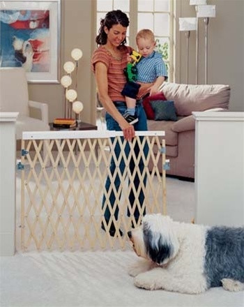 expandable swing gate