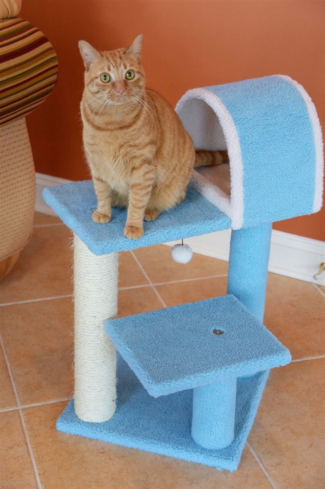 30 inch cat tree