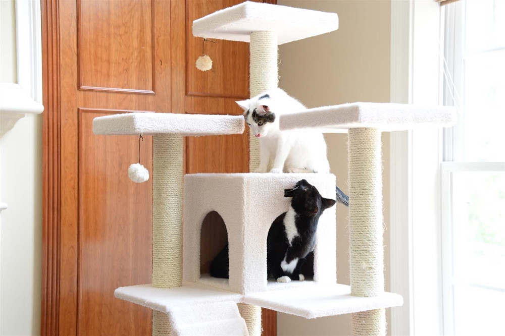 77 cat tree