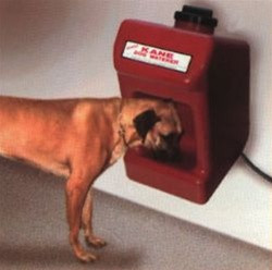 k9 cafe dog feeder