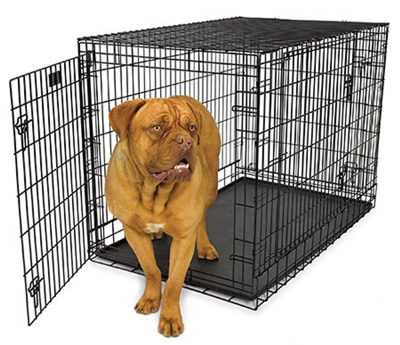 midwest ultima pro double door dog crate