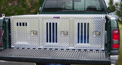 dog box with storage