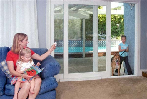 motion sensor dog door