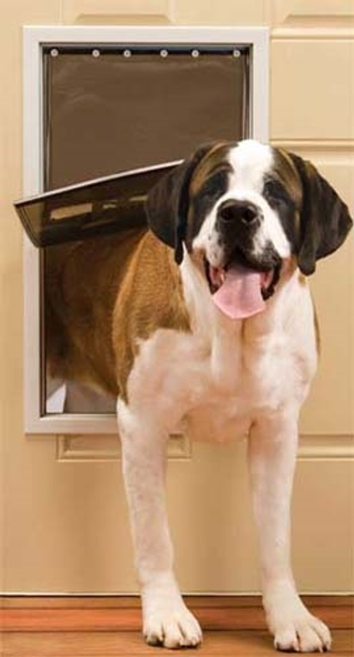 Petsafe wall deals dog door