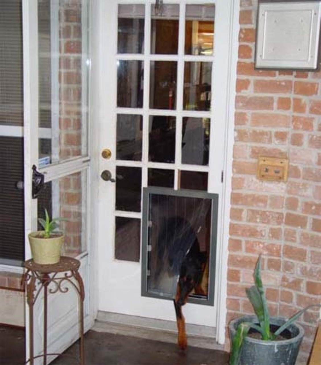 cat flap in french doors