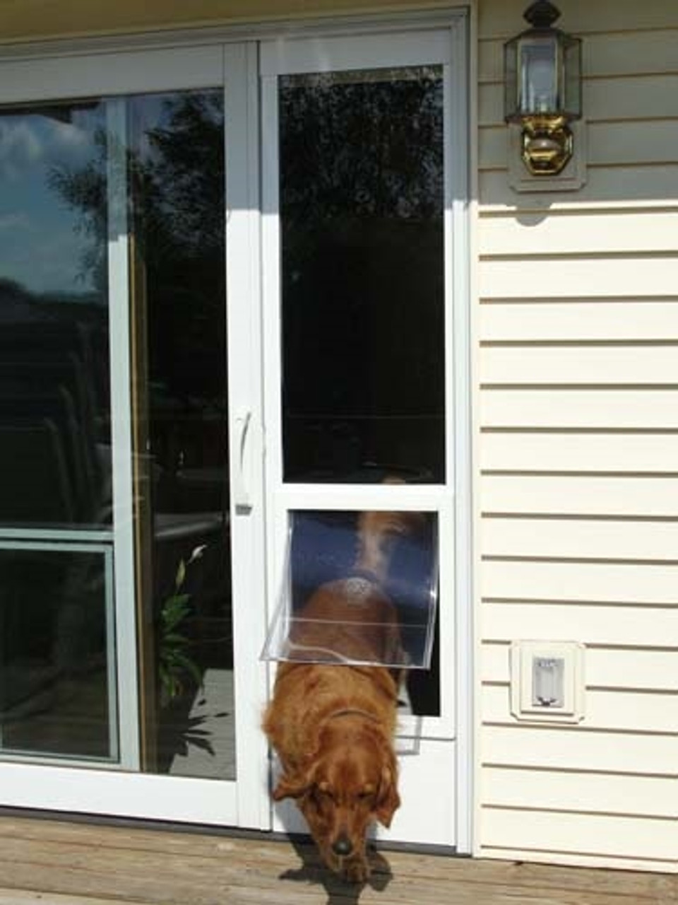 patio pet door