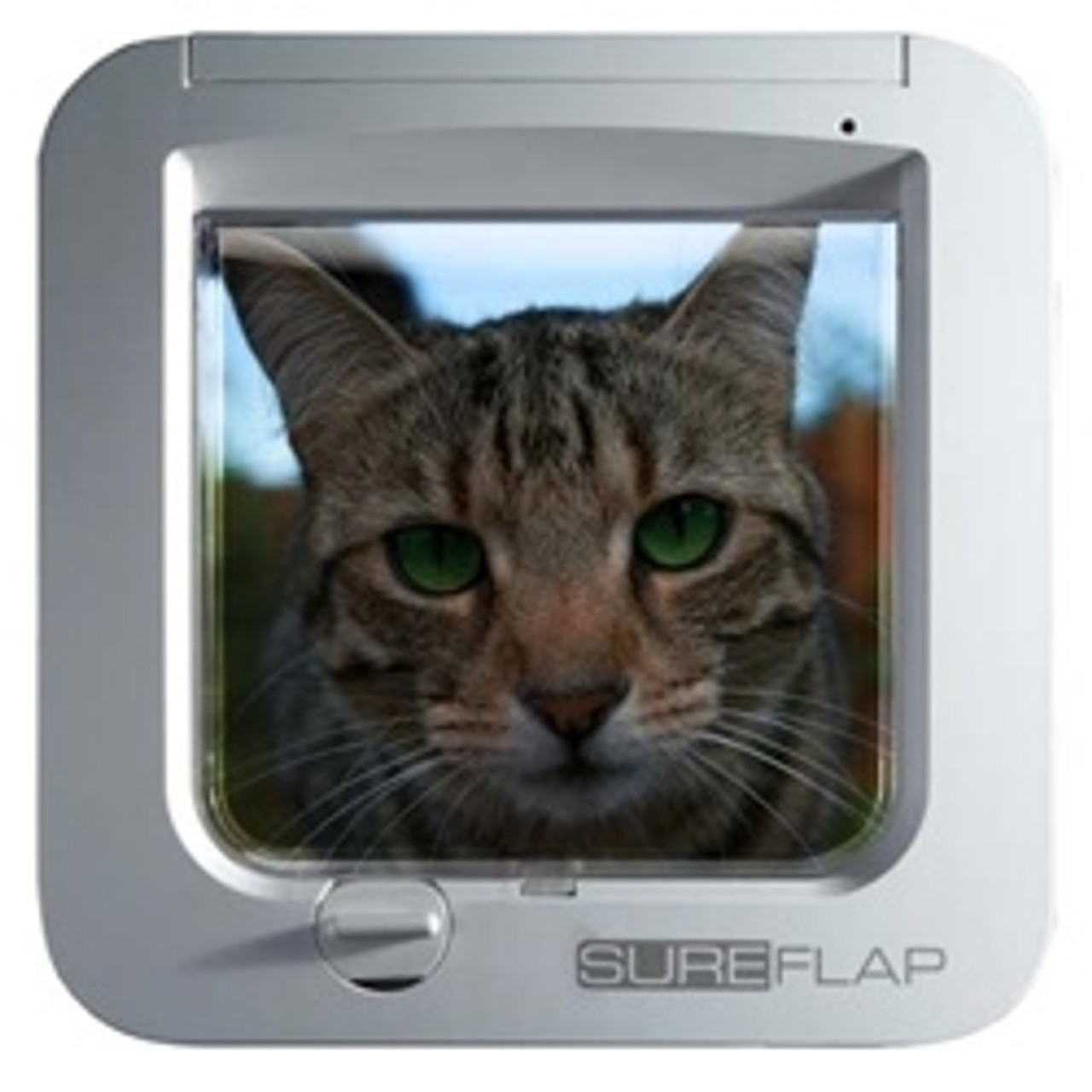 sure chip microchip cat feeder