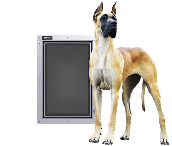 largest dog door available