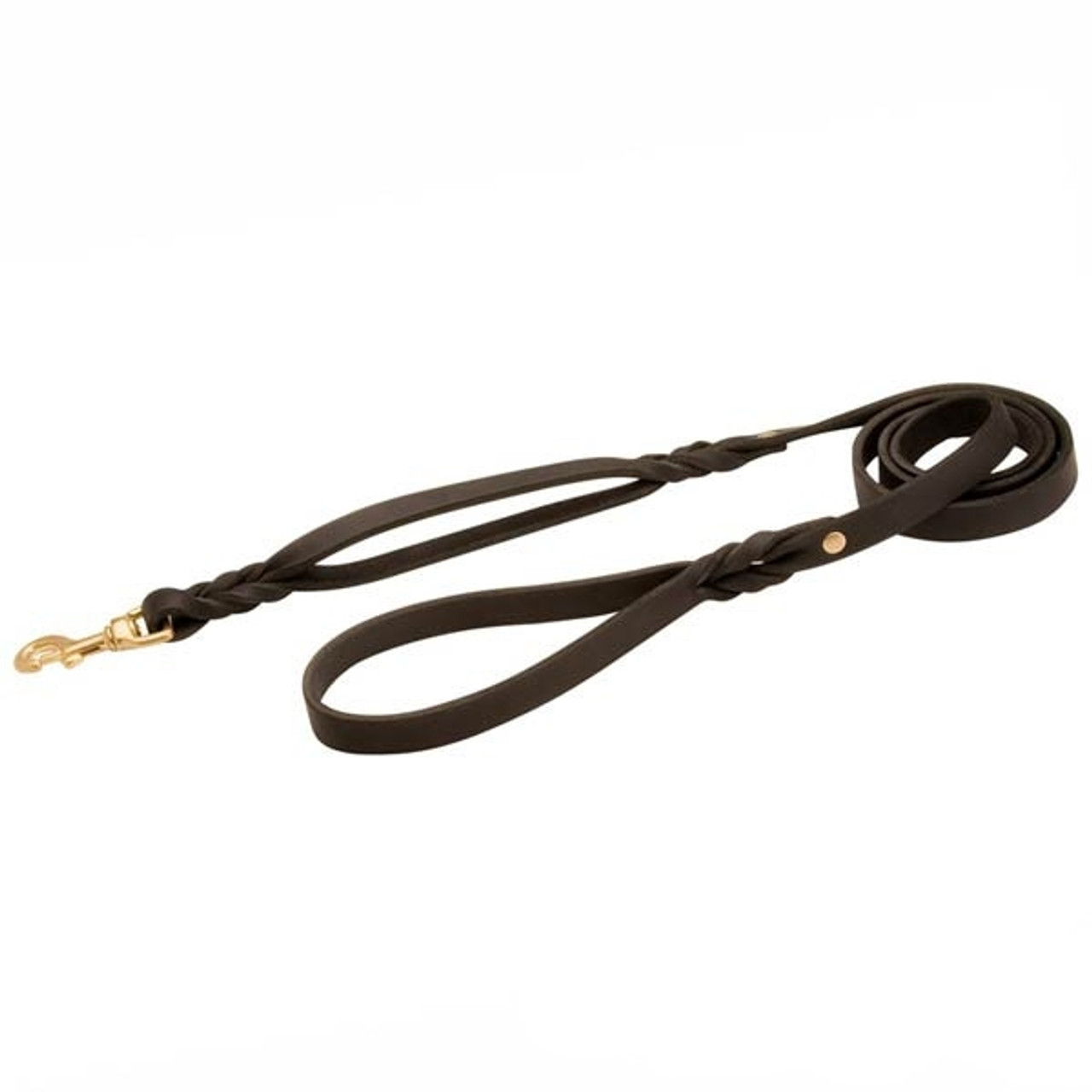 Leather leash hot sale for big dogs