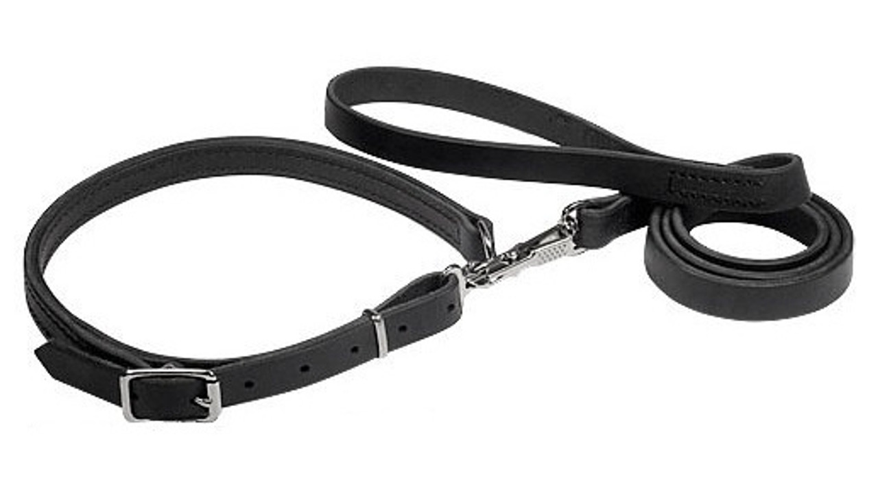 Hunting discount dog leash